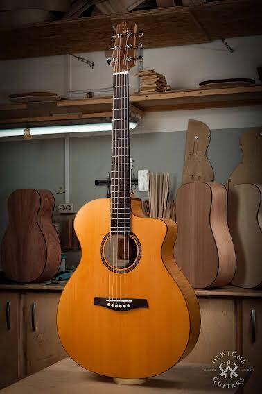 Акустическая гитара NewTone Maple Story GA NT 45 в магазине Music-Hummer