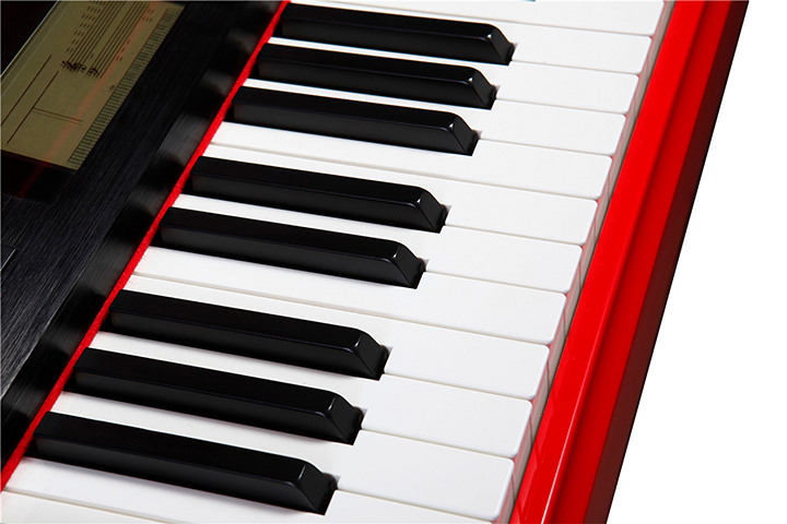 Фото Рояль Middleford MG-12R