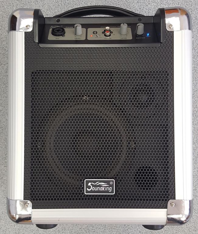 Фото Акустическая система Soundking PA6B