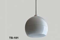 Nusun TS101  АС  подвесная, 20W, 70/100 V, 120-14 kHz, пластиковый, цвет белый