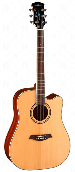 Электро-акустическая гитара, дредноут с вырезом, с чехлом Parkwood S66 в магазине Music-Hummer