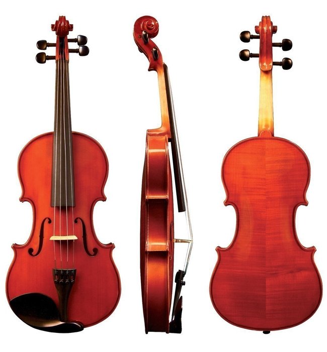 GEWA Violin Allegro 3/4 в магазине Music-Hummer
