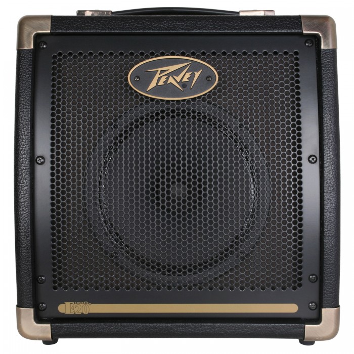 Фото Peavey Ecoustic E20