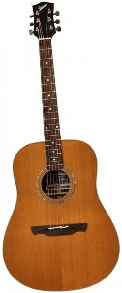Акустическая гитара CUENCA мод. W-300 B GZ/LP в магазине Music-Hummer