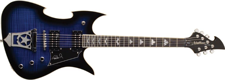 Фото Washburn PS600