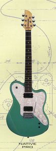 Фото Fernandes NATIVE PRO 05 3SB