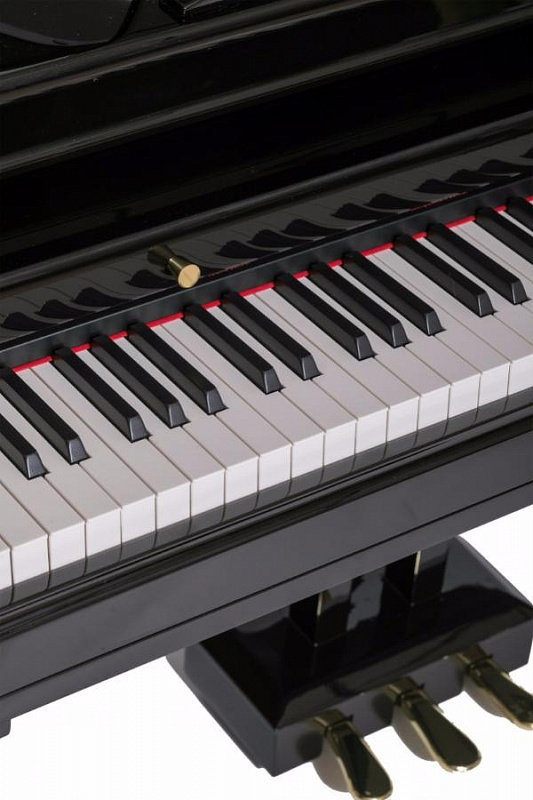 Фото Orla Grand 500 