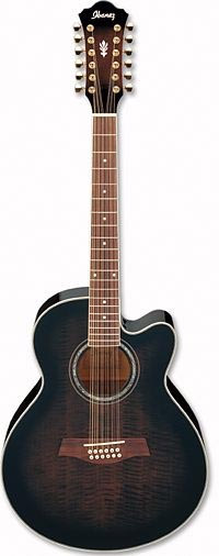 Фото Электроакустическая гитара Ibanez AEL2012E Transparent Black Sunburst