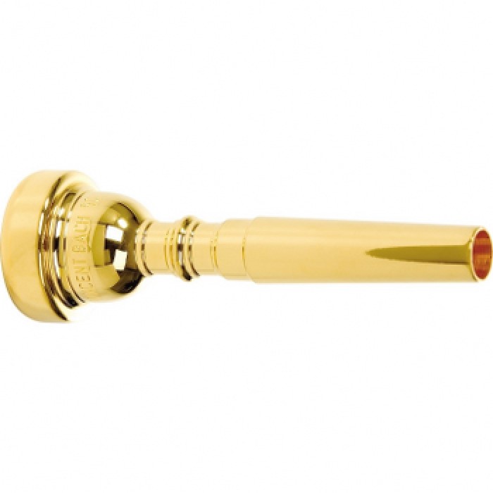 Фото Vincent Bach K351-1CGP