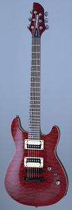Фото Fernandes DFS(08)BC
