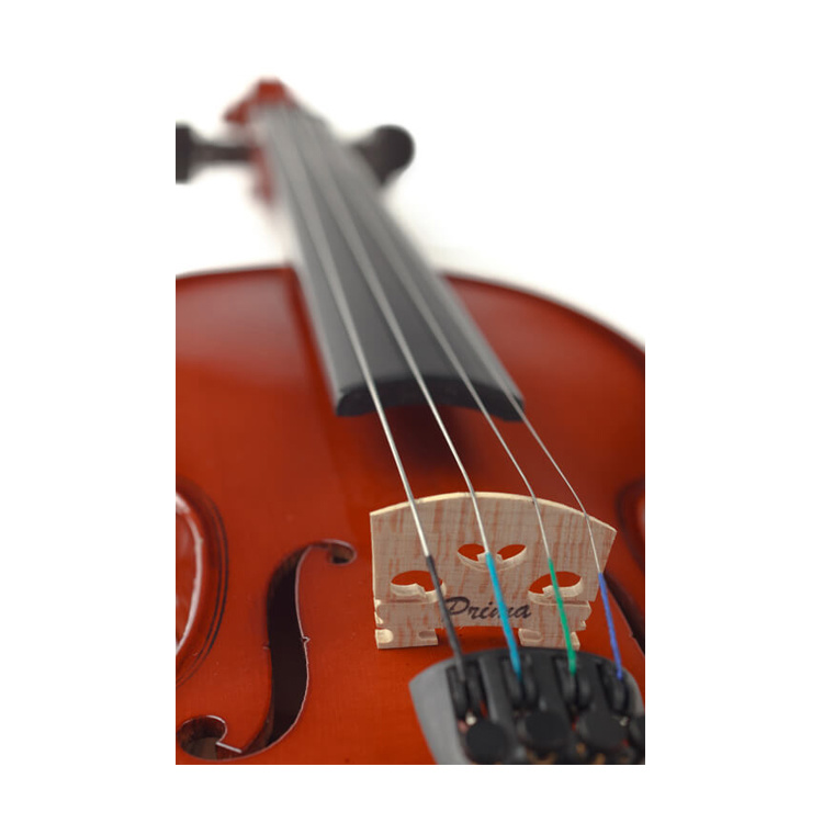 Скрипка PRIMA P-100 4/4 в магазине Music-Hummer