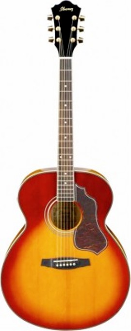 Фото Акустическая гитара Ibanez SGT630E Honey Sunburst