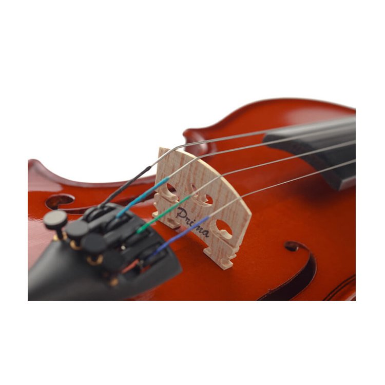 Скрипка PRIMA P-100 1/8 в магазине Music-Hummer