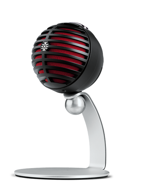 Микрофон SHURE MOTIV MV5-B-DIG в магазине Music-Hummer
