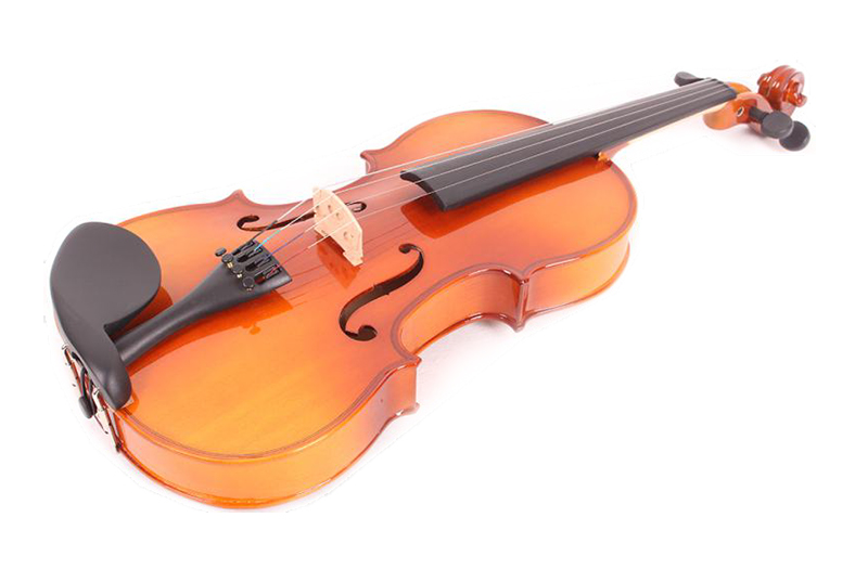 Скрипка 1/2 Mirra VB-310-1/2 в магазине Music-Hummer