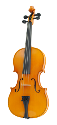 Скрипка Karl Hofner  H11-V 4/4 в магазине Music-Hummer