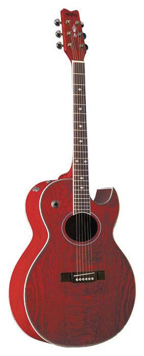 Фото Электроакустическая гитара Washburn EA17 N