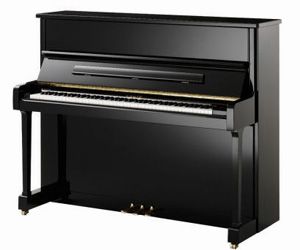 Акустическое пианино Pearl River T2 (A111)  в магазине Music-Hummer