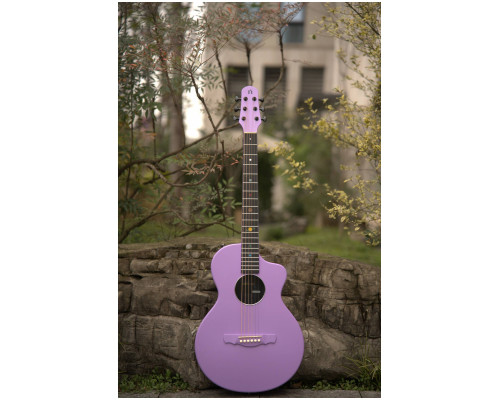 Фото Акустическая гитара NATASHA Asteroid Dusky Lavender