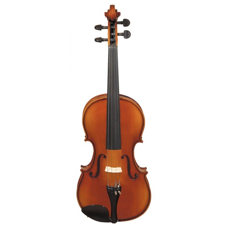 Скрипка Strunal 160A-1/2 Siena в магазине Music-Hummer
