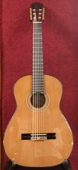 Гитара классическая Badem C-6 в магазине Music-Hummer