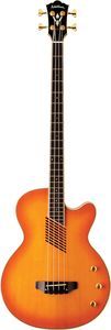 Фото Washburn AB40 B