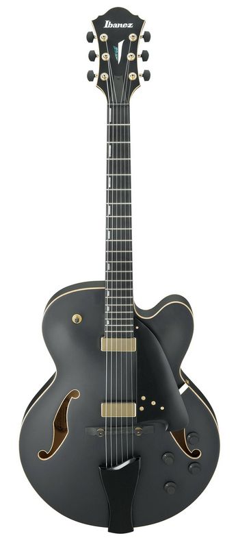 Фото IBANEZ AFC125-BKF Archtop