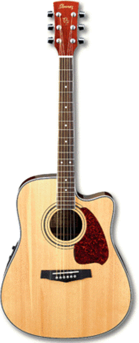 Фото Электроакустическая гитара Ibanez PF60SECE NT