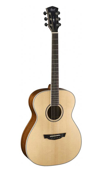Акустическая гитара PW-320-BW-NS Parkwood в магазине Music-Hummer