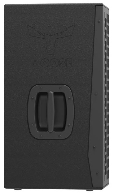 Фото Пассивная акустическая система MOOSE DUAL-C10