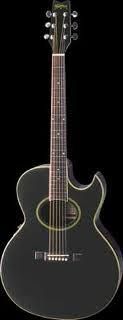 Фото Washburn EA10B