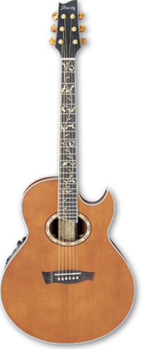 Электроакустическая гитара Ibanez EP9 Steve Vai Signature Model Resonant Root Beer в магазине Music-Hummer