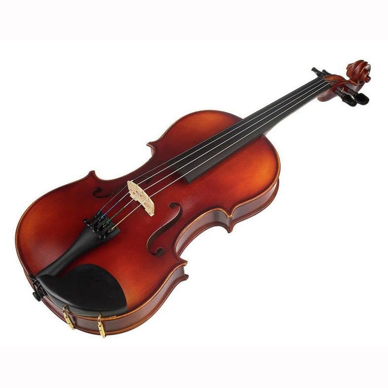 Скрипка GEWA Violin Allegro-VL1 4/4 в магазине Music-Hummer