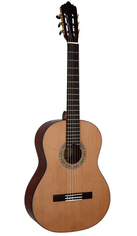 Фото Классическая гитара Dowina Rustica CL (CL 555-LE)