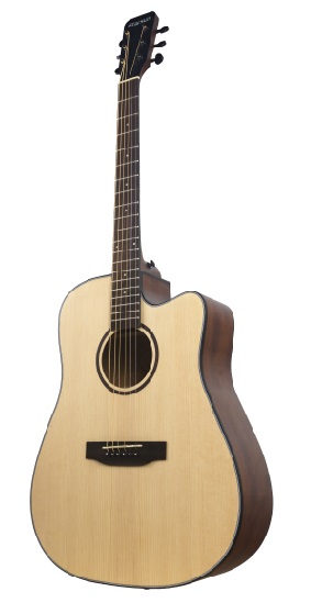 Акустическая гитара STARSUN D1cs в магазине Music-Hummer
