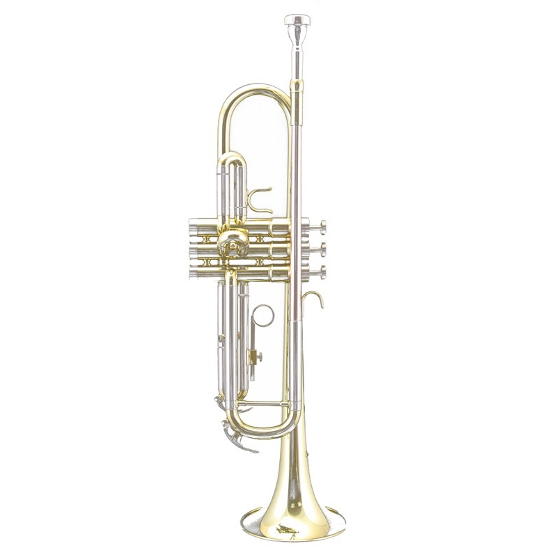Фото Trevor James Renaissance TJTR2500 Bb