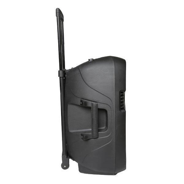 Фото Активная акустическая система ECO VOYAGE XV