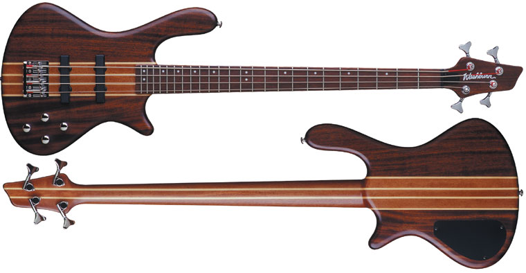 Фото Washburn T24 NM