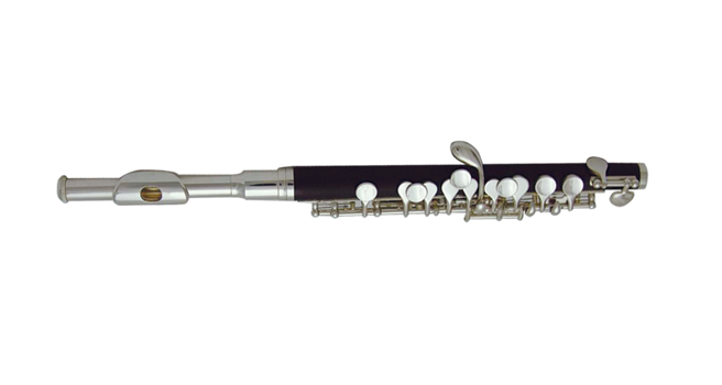 Флейта пикколо WISEMANN DPL-400 в магазине Music-Hummer