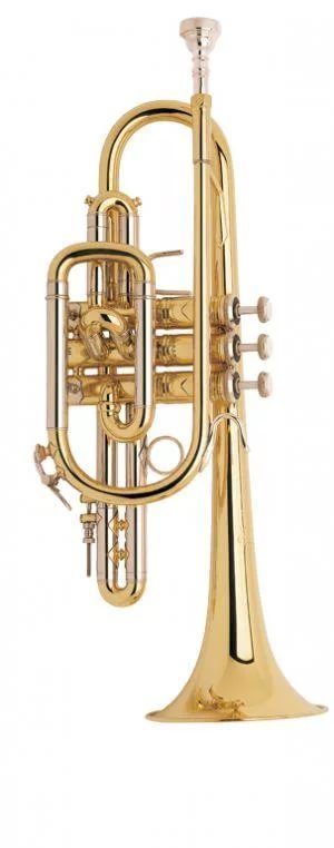Фото BACH 181ML