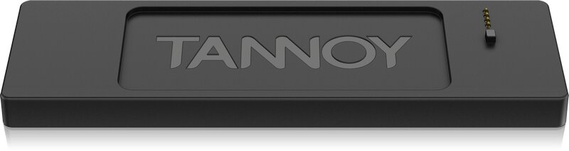 Фото Tannoy LIVE MINI  