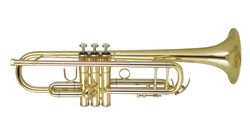 Фото Труба WISEMANN DTR-250