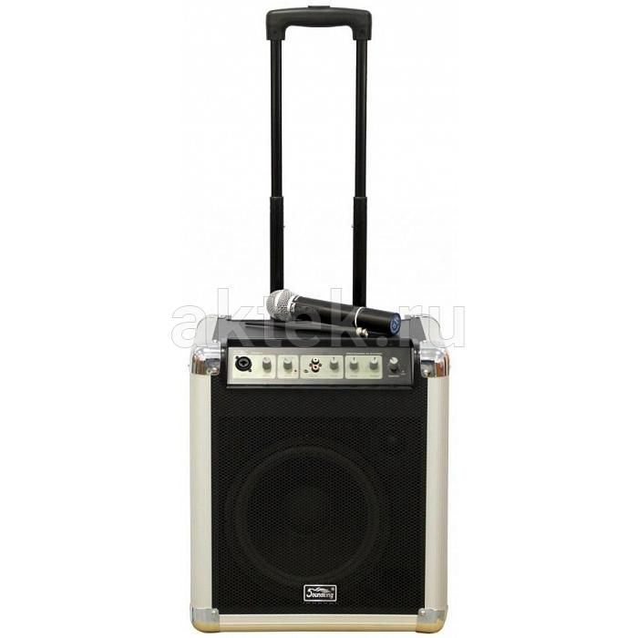 Фото  Акустическая система аккумуляторная с микрофоном Soundking PA10W