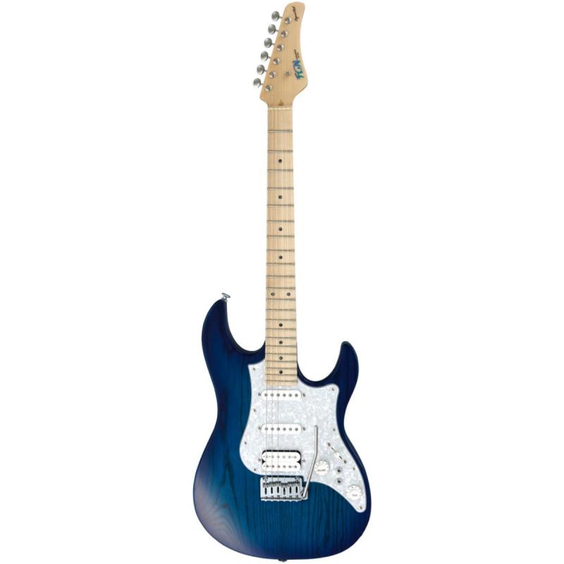 Фото Электрогитара FGN Expert Odyssey EOS-ASH-M SBB