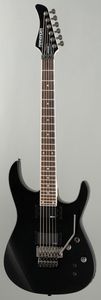 Фото Fernandes RP81(06)