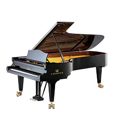 C. Bechstein D 282