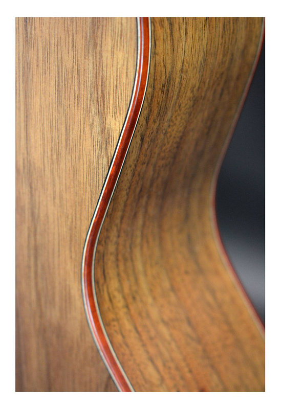 Фото Акустическая гитара TYRONE SILVER OM Walnut