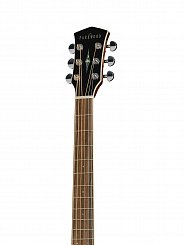 Акустическая гитара Parkwood P620-WCASE-NAT