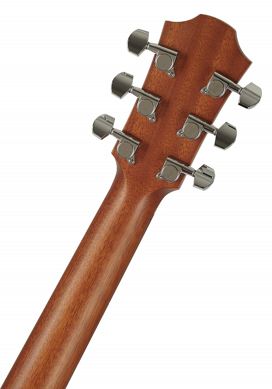 Фото FURCH Green D-SM + Кейс 