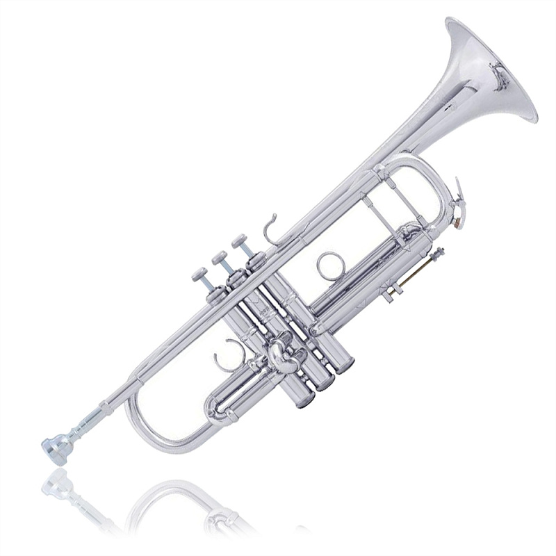 Фото Труба "Bb" BACH AB190 CUSTOM  AB190G 
